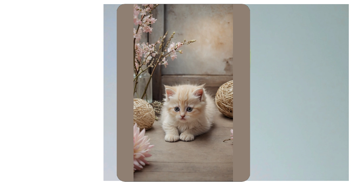 Purrfectly Pink: Adorable Kitten Wallpaper Ideas