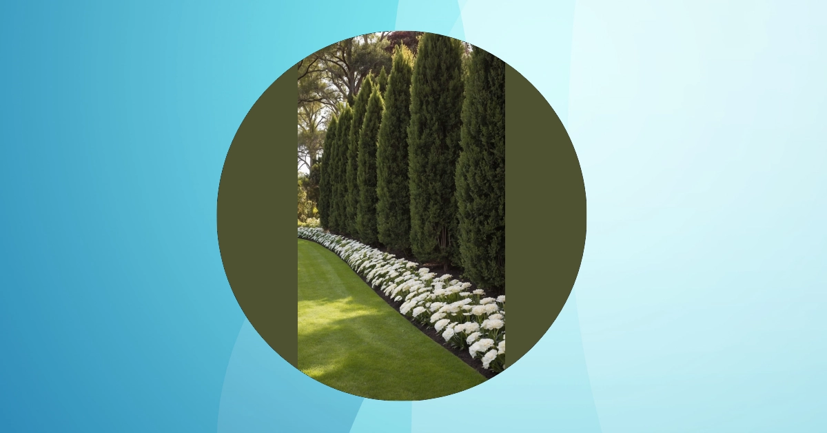 6 Quirky Tricks to Glam Up Your Front of House Landscape