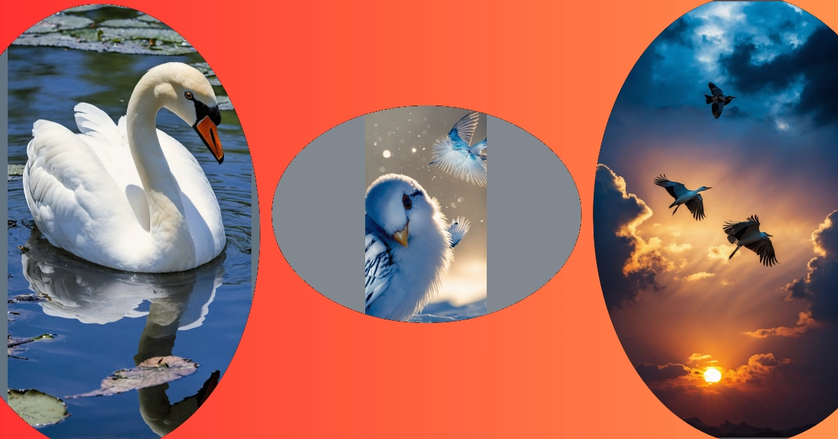 Bird’s Eye View: Top 13 Birds Wallpaper Ideas To Brighten Up Your Decor